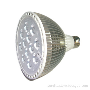 LED PAR Light (XL-PAR38-12B1W/12*2W)